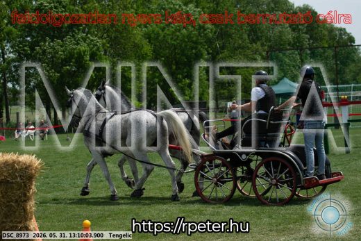 Mintakép 20260531-2102