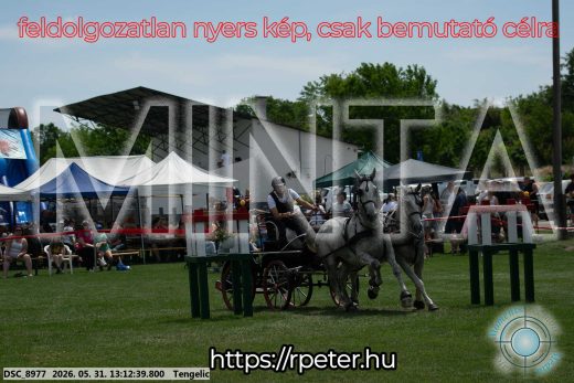 Mintakép 20260531-2109