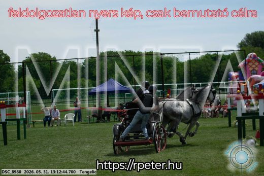 Mintakép 20260531-2112