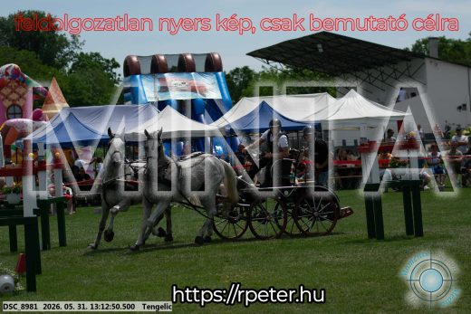 Mintakép 20260531-2113