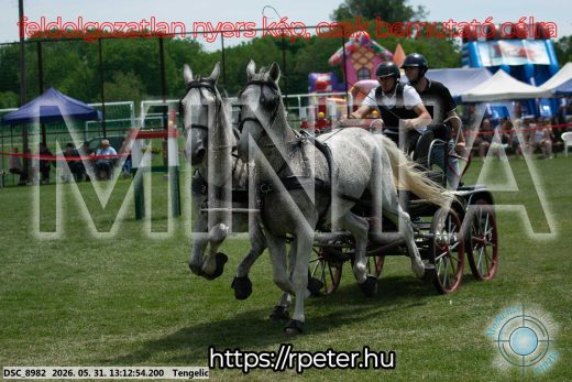 Mintakép 20260531-2114