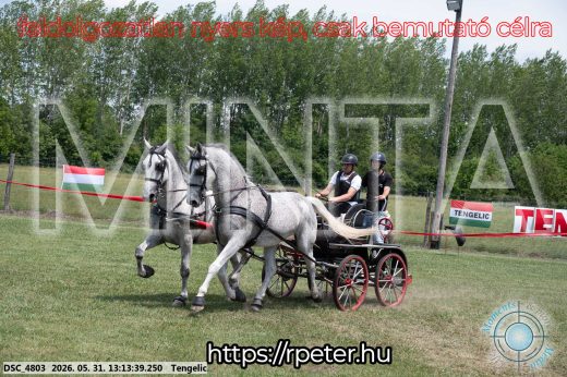 Mintakép 20260531-2118