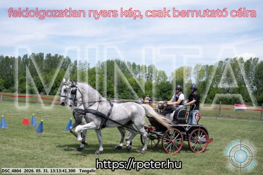 Mintakép 20260531-2119