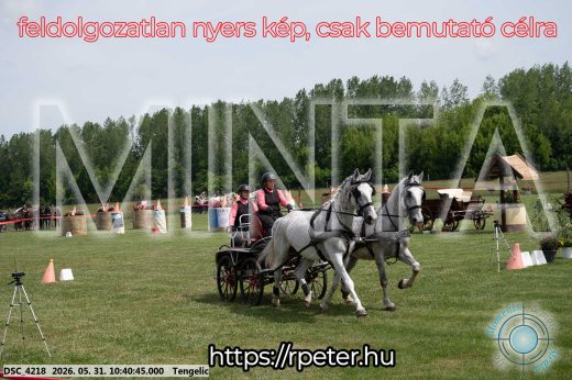 Mintakép 20260531-2124