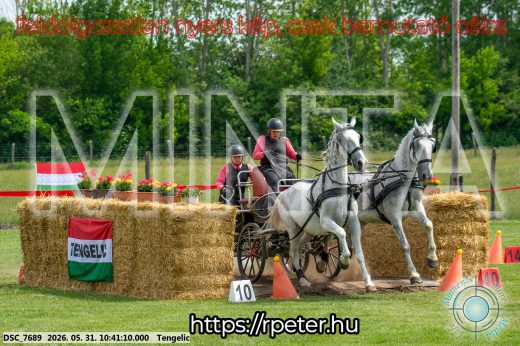 Mintakép 20260531-2130
