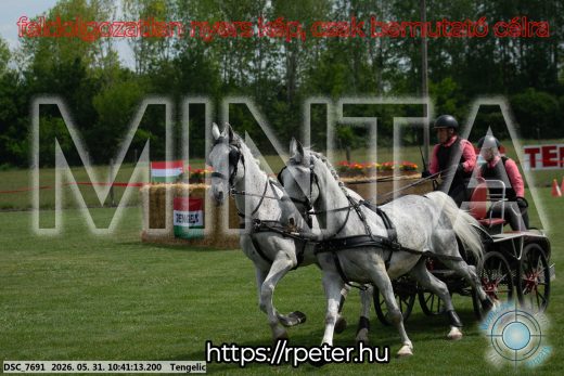 Mintakép 20260531-2132