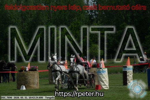 Mintakép 20260531-2137