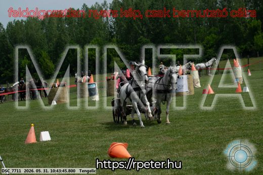 Mintakép 20260531-2160