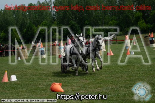 Mintakép 20260531-2161