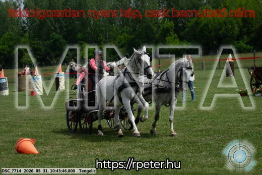 Mintakép 20260531-2163
