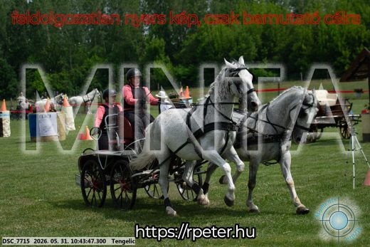 Mintakép 20260531-2164
