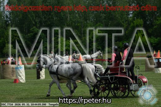 Mintakép 20260531-2165