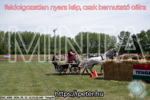 Mintakép 20260531-2166