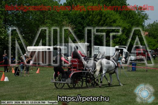 Mintakép 20260531-2167