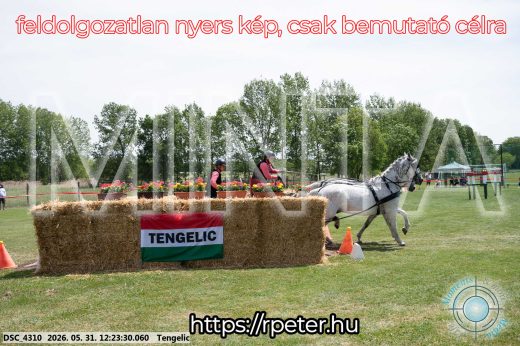 Mintakép 20260531-2168