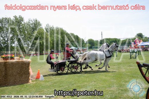 Mintakép 20260531-2170