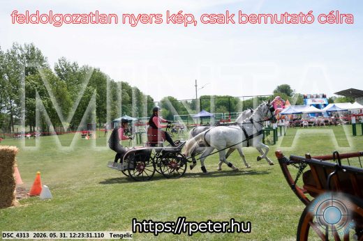 Mintakép 20260531-2171