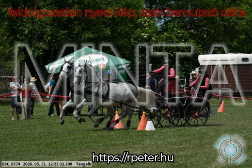 Mintakép 20260531-2172