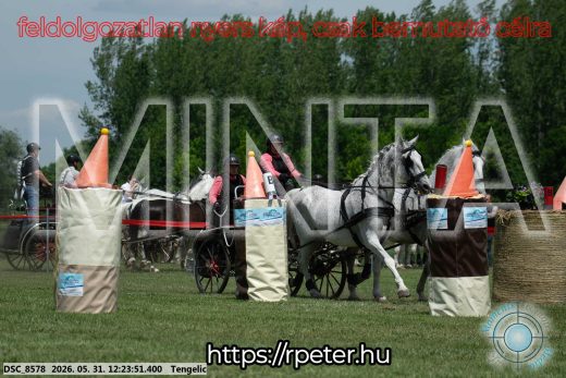 Mintakép 20260531-2174