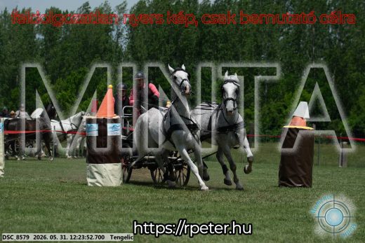 Mintakép 20260531-2175