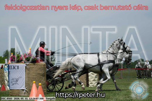 Mintakép 20260531-2179
