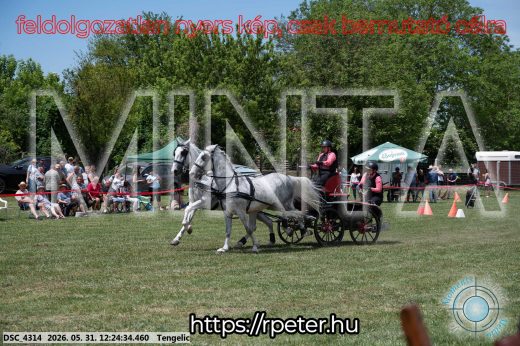 Mintakép 20260531-2180
