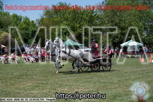 Mintakép 20260531-2181