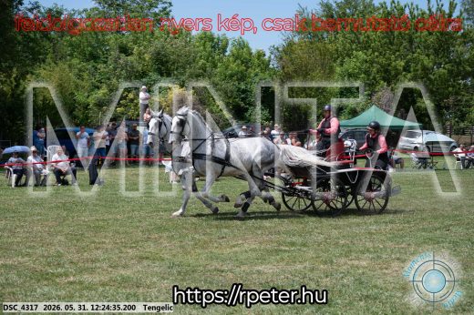 Mintakép 20260531-2183