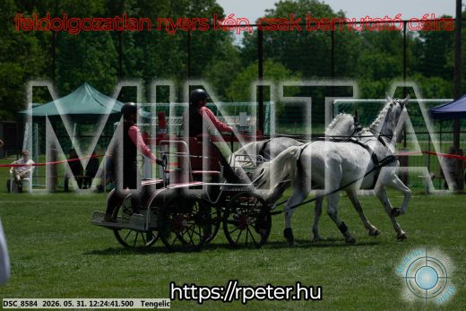 Mintakép 20260531-2185