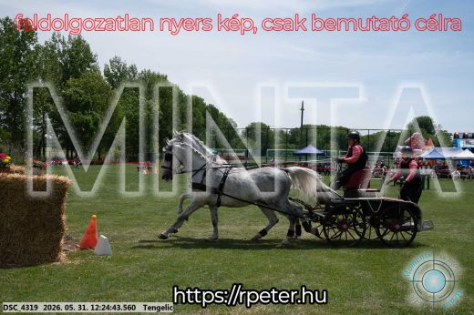 Mintakép 20260531-2186