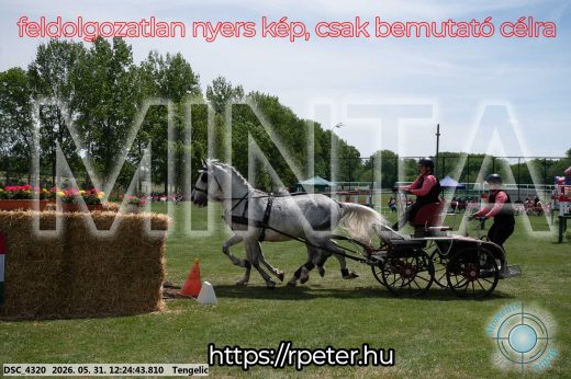 Mintakép 20260531-2187