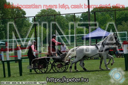 Mintakép 20260531-2190