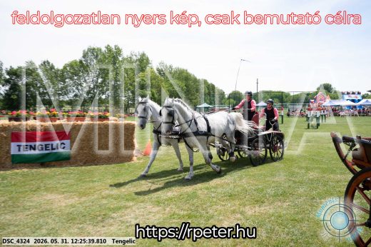 Mintakép 20260531-2193