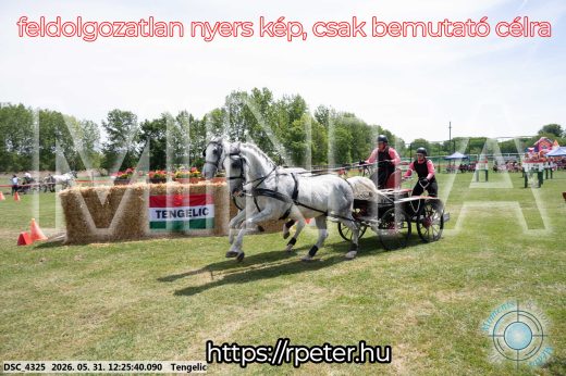 Mintakép 20260531-2194
