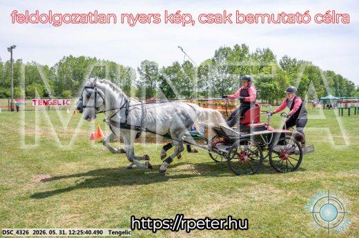 Mintakép 20260531-2195