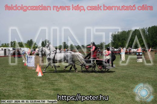 Mintakép 20260531-2196