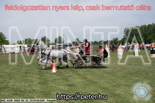 Mintakép 20260531-2197
