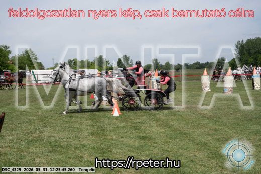 Mintakép 20260531-2198