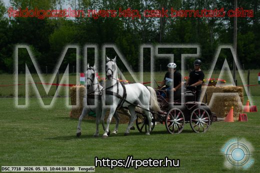20260531-104438-DSC_7718.jpg