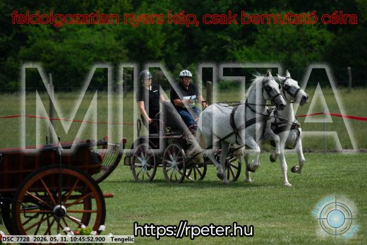 Mintakép 20260531-2210
