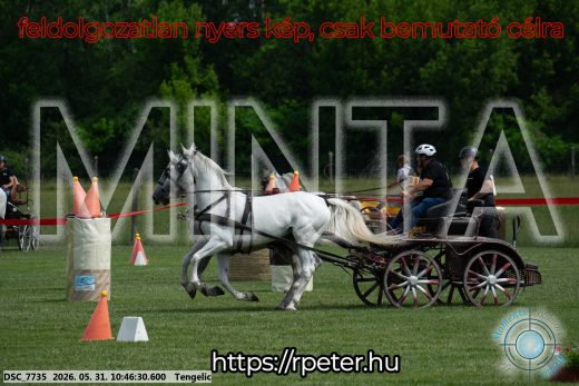 Mintakép 20260531-2217