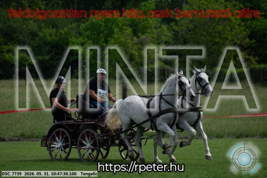 Mintakép 20260531-2222