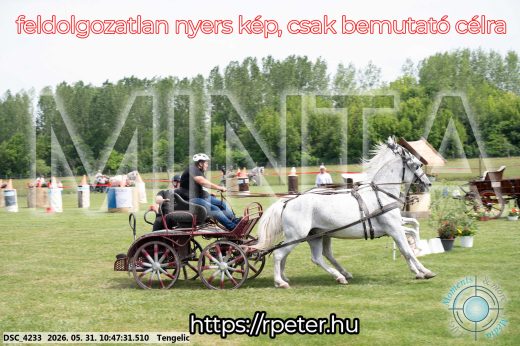 Mintakép 20260531-2223