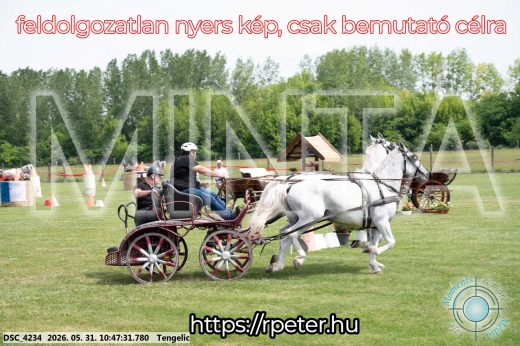 Mintakép 20260531-2224