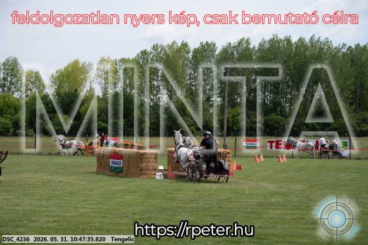 Mintakép 20260531-2227
