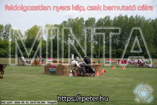 Mintakép 20260531-2228