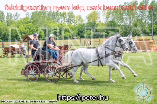 Mintakép 20260531-2239
