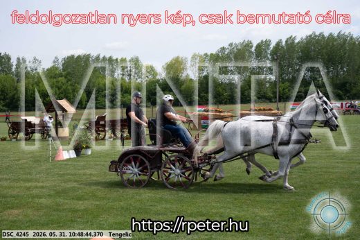 Mintakép 20260531-2240