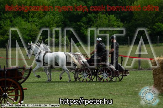 Mintakép 20260531-2241