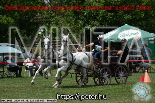 Mintakép 20260531-2244